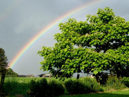 Un bel arc en ciel. La pluie a ses beautés
