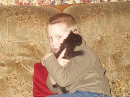 Le petit chat